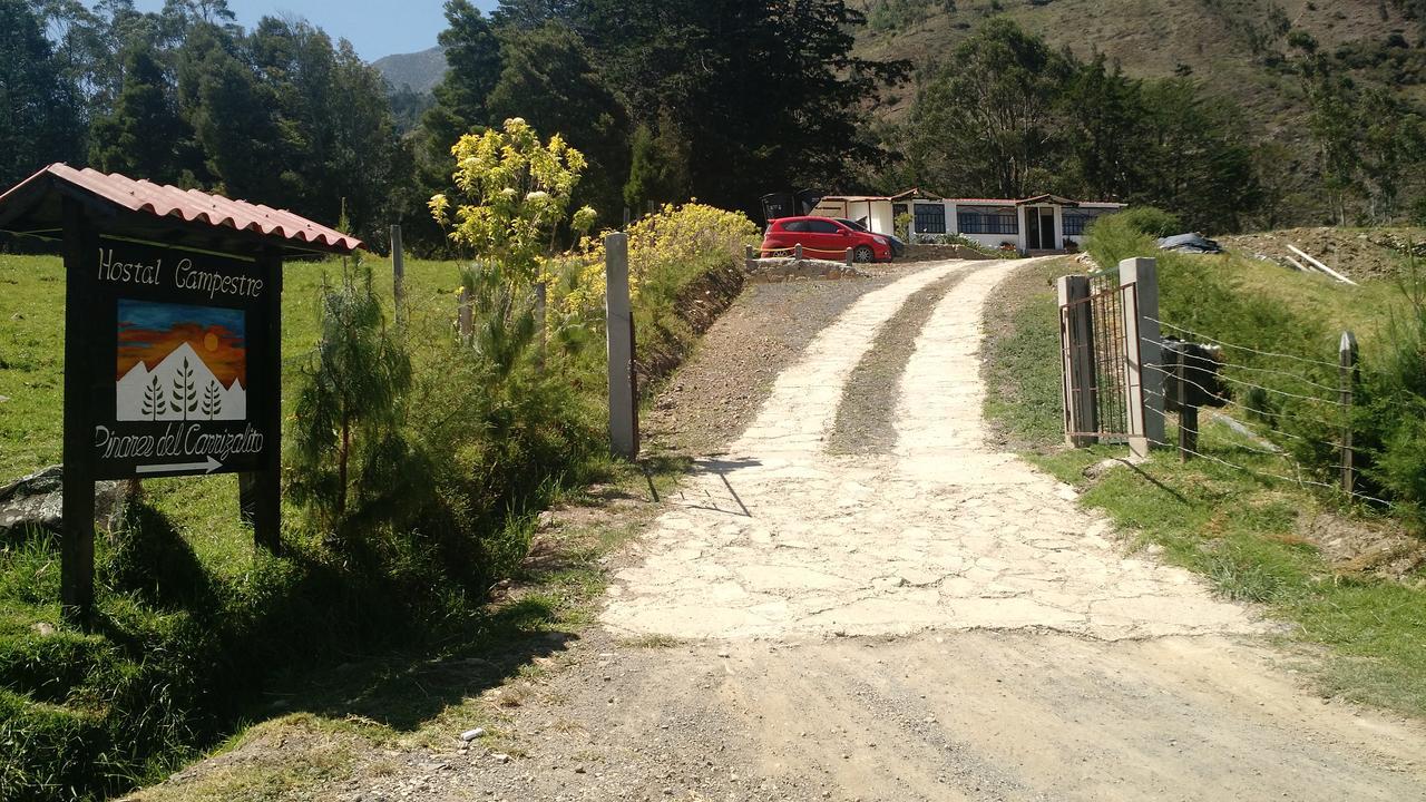 Pinares Del Carrizalito El Cocuy Exterior foto